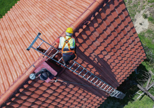 Best Roof Moss and Algae Removal  in White Plains, NY